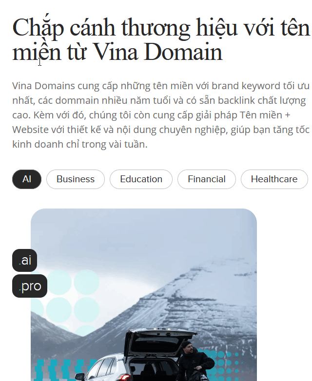 Vinadomain.vn